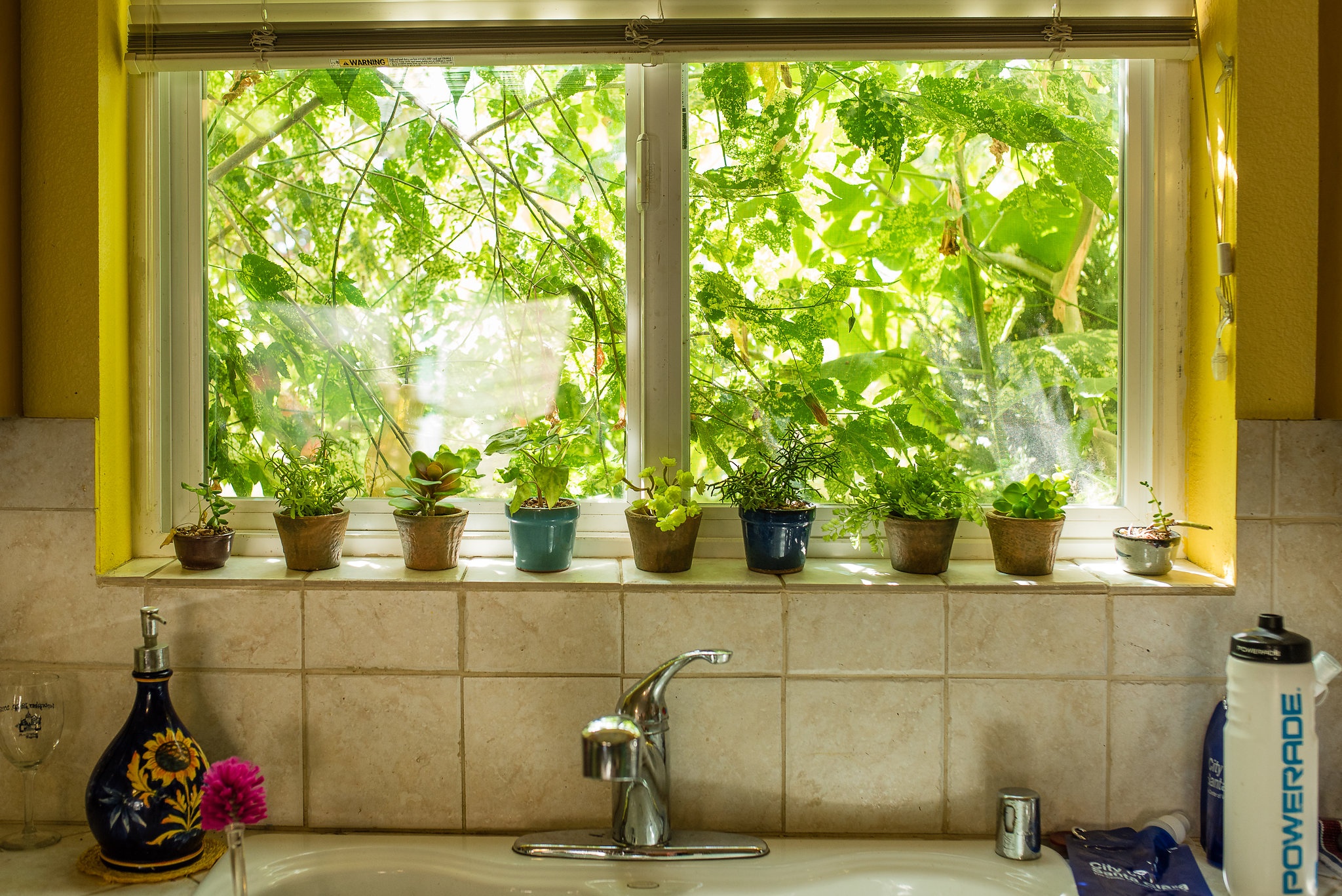 Homeownership brings health