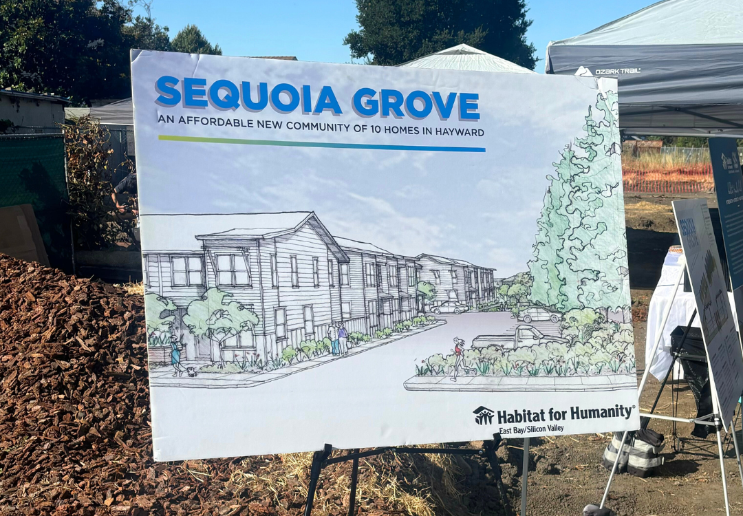 Sequoia Grove Social 2